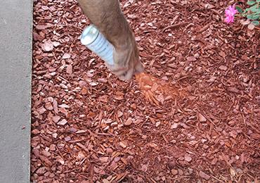 Aerosol Paint color colorant dye mulch pine straw yard lawn ground cover can.