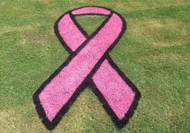 baseball field cancer awareness stencil pink aerosol paint.