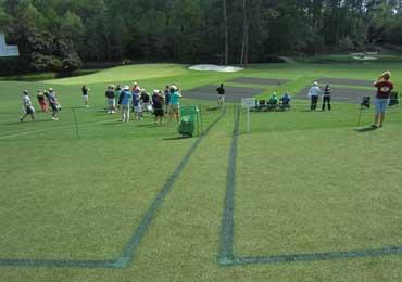 Golf course marking paint that will not kill brown damage green putting grass