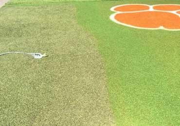 Custom green paint match for synthetic turf colors custom color.