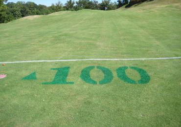 Green Golf Course Fairway Yardage Marking Paints.