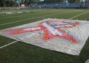 Paint removable logos synthetic field turf football midfield.