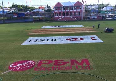 custom cut logo paint colors for cricket pitch occaacsion.