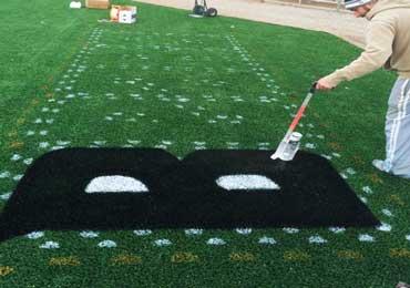 Permanent color paint for synthetic field turf.