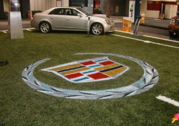 Aerosol Paint Colors synthetic field turf.