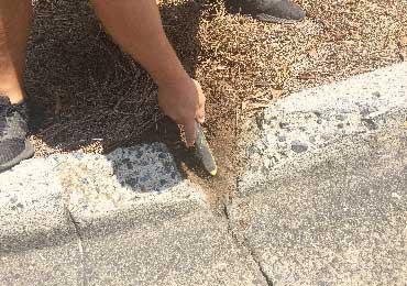 wire brush to remove grass dirt debri before patching damaged broken areas on concrete curbs.