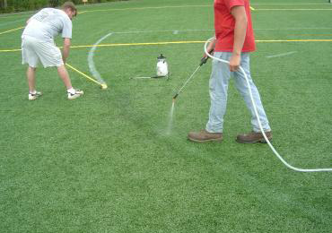 safe water based remover for old paint synthetic turf.