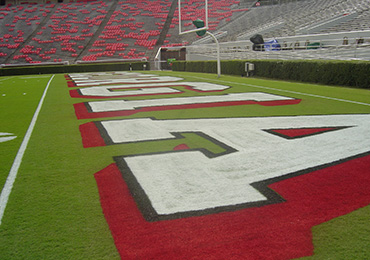 Bright white colors college football field paint.