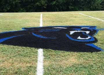 best paint direct from manufacturer to paint high school logo stencils on lawn yard grass