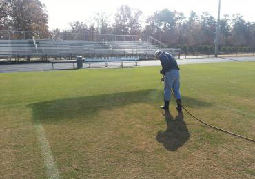 green colorant to paint natural grass.