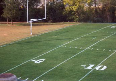 Green Grass painting turf green paint football field dye.