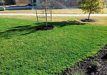 green grass pigment to color lawns same as endurant premium.