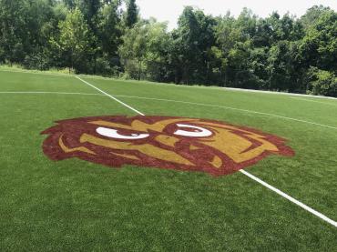 outdoor syntheticturf painted with permanent paint custom logo stencil.
