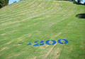 Blue Golf course aerosol yardage marking paints.