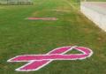 Custom cancer awareness stencils paints for special events.