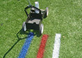 Synthetic turf Aerosol spray chalk is available in several bright colors.