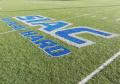 Temporary painted Logo on synthetic turf that can be removed later.