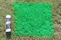 Florescent green grass turf aerosol paint.