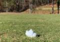liquid foam to spray temporary foam blobs on grass as markers