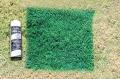 aerosol green grass turf touch up cover up paint natural grass synthetic turf brown spots.