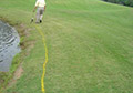 Bright Yellow water hazard golf course marking paint.
