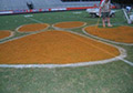 Football Field Logo Painting affordable low price field paint.