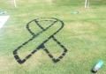 Ribbon outline painted on natural grass or synthetic turf.