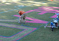 Painting Pink blue end zone logo latex bulk grass paint.