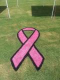 Pink Black aerosol grass marking striping painting lining paint.