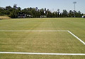 Ready to apply spray use bright white soccer field line marking paint.