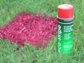 Red aerosol marking paint water based line field paint.