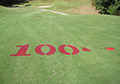 Red Golf course marking paint.