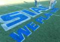 Logo on synthetic field turf with aerosol removable chalk.