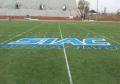 Removable logo synthetic field turf artificial turf painting.