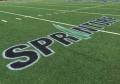 Removable logo for synthetic field turf.