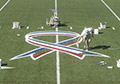 Colors removable paints synthetic field turf logo line marking striping paint.