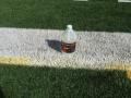 remove stubborn paint stains from synthetic turf fields.