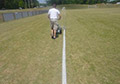 Stripe Line Paint Mark Painting Marking Grass Soccer Fields.