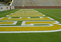Top class football field marking paint endzone logo painting.
