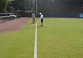 Stripe Paint Line Marking Painting Marking Striping Baseball Field Foul Lines.