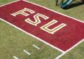 College logo stencil colored college field marking paint