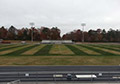 Green dye to color dormant brown grass for football field.