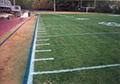Green Turf Dye Paint football field grass painting.