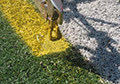 Spray application of removable yellow turf paint lacrosse line synthetic field turf striping line marking.
