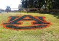 College logo stencil yards lawns painted stencils collegiate logos.