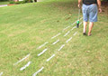 water based aerosol marking paint for natural grass.