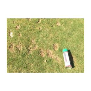 Covering reparing damaged brown divot spots with aerosol can turf green