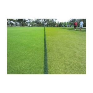 Golf course line marking crowd control green paint.