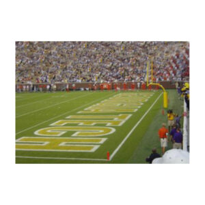 College end zone white colors field striping line marking logo paint.