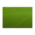 Main Image – grees grass dye paint color colorant endurant premi